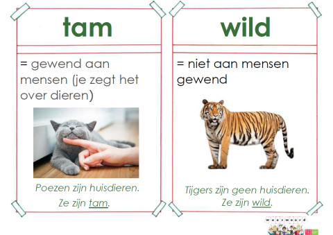 tam | Kentalis: Weerwoord