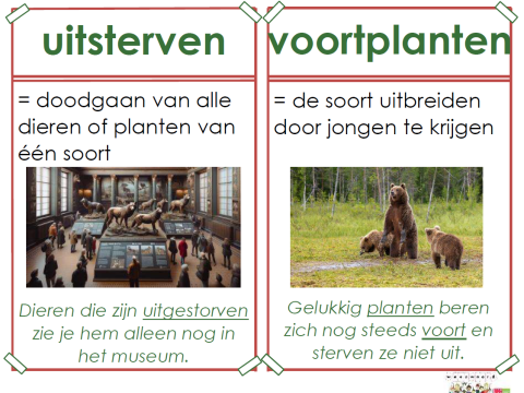 uitsterven