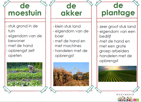 moestuin