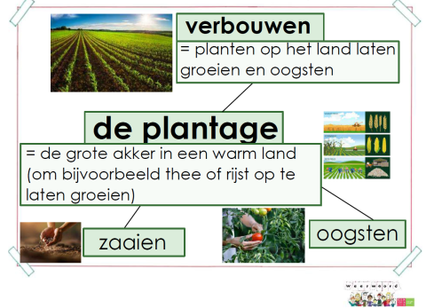 plantage