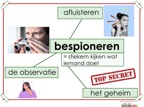 bespioneren
