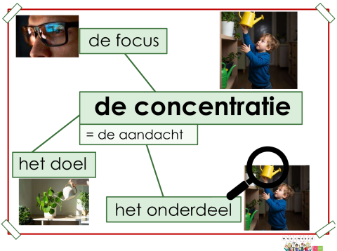 concentratie