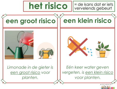 risico