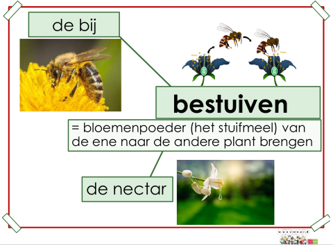 bestuiven