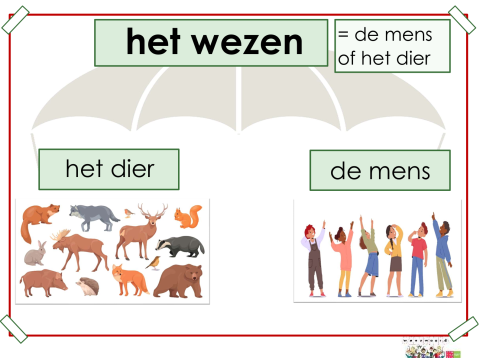 wezen
