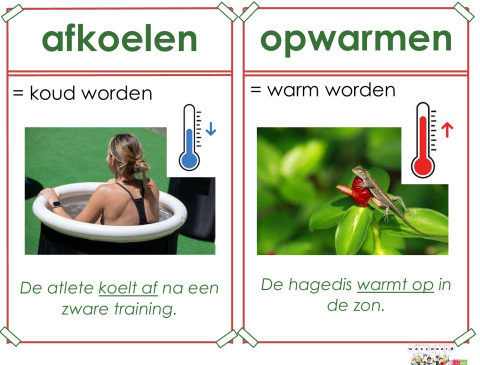 afkoelen