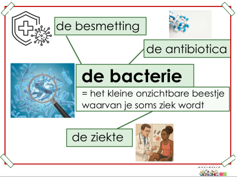 bacterie