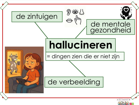 hallucineren
