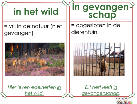 gevangenschap