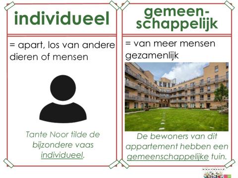 individueel