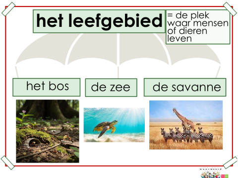 leefgebied