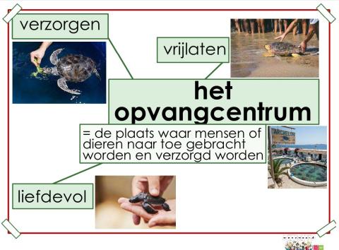 opvangcentrum