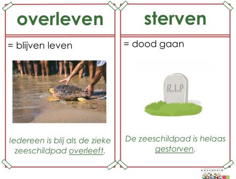 overleven