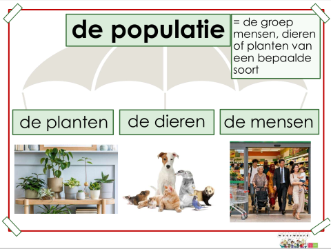 populatie