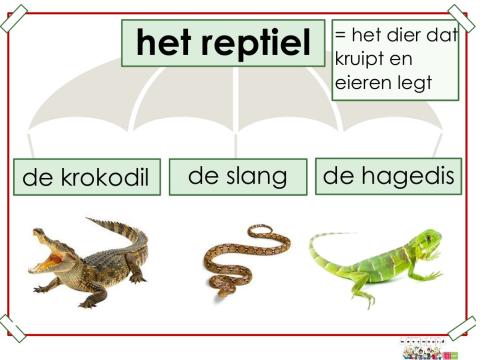 reptiel