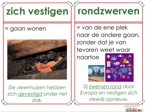 rondzwerven