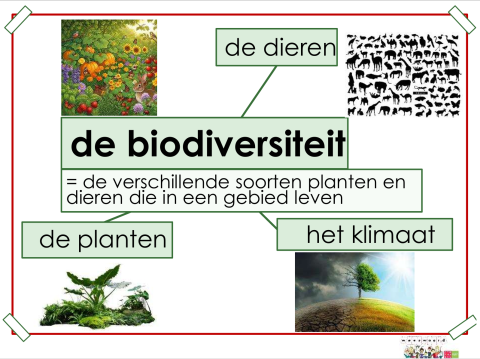 biodiversiteit