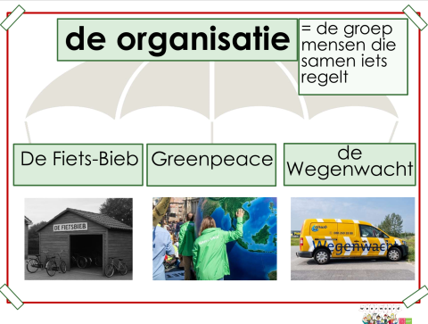 organisatie