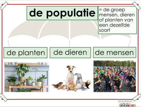populatie