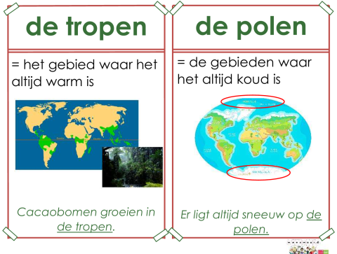 tropen