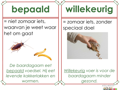 bepaald