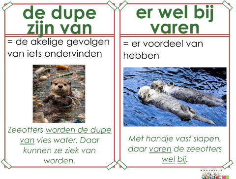 dupe