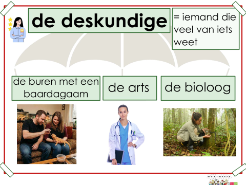 deskundige