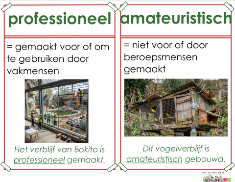professioneel