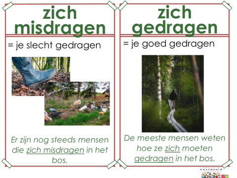 misdragen