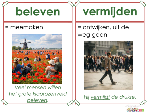 beleven