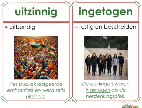 uitzinnig