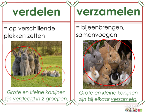 verdelen