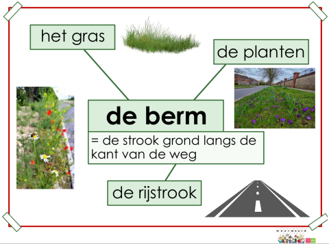 berm