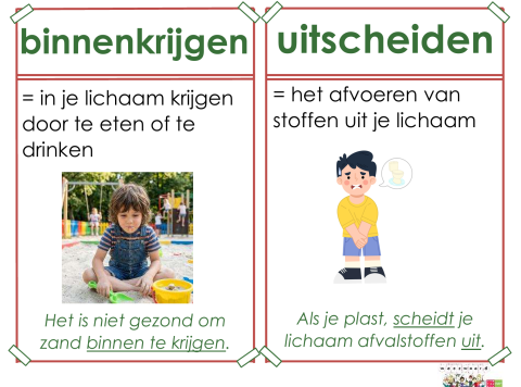 binnenkrijgen
