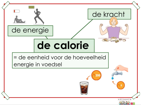 calorie