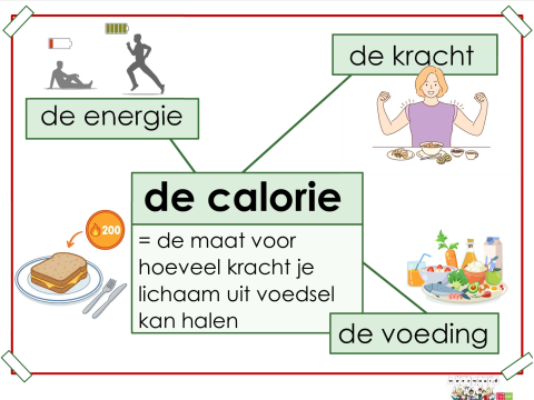 calorie