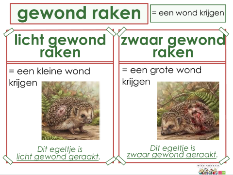 gewond