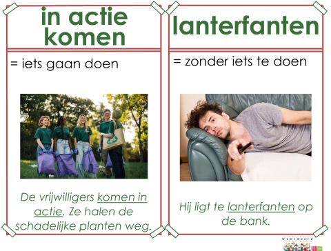 lanterfanten