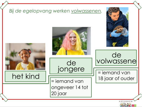 kind