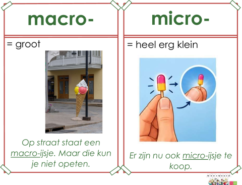 macro