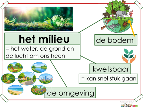 milieu