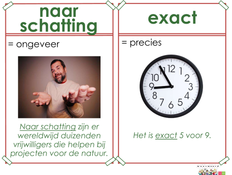 schatting