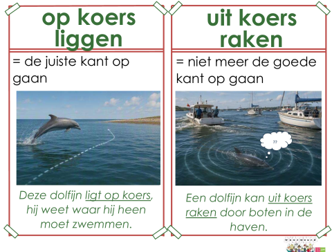 koers