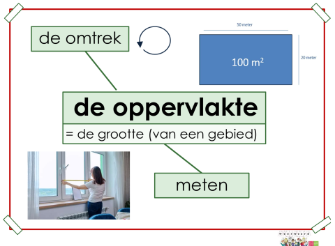 oppervlakte