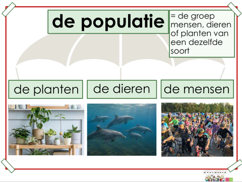 populatie