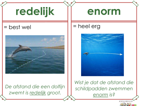 redelijk