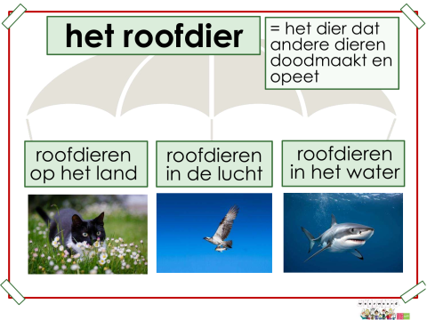 roofdier