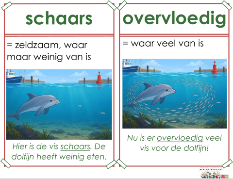 schaars
