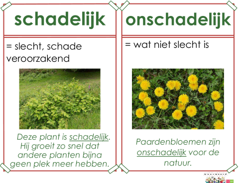 schadelijk