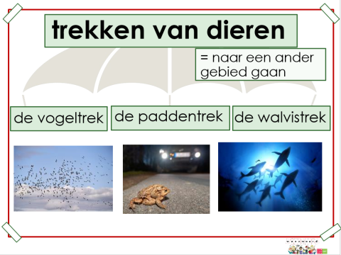 trekken